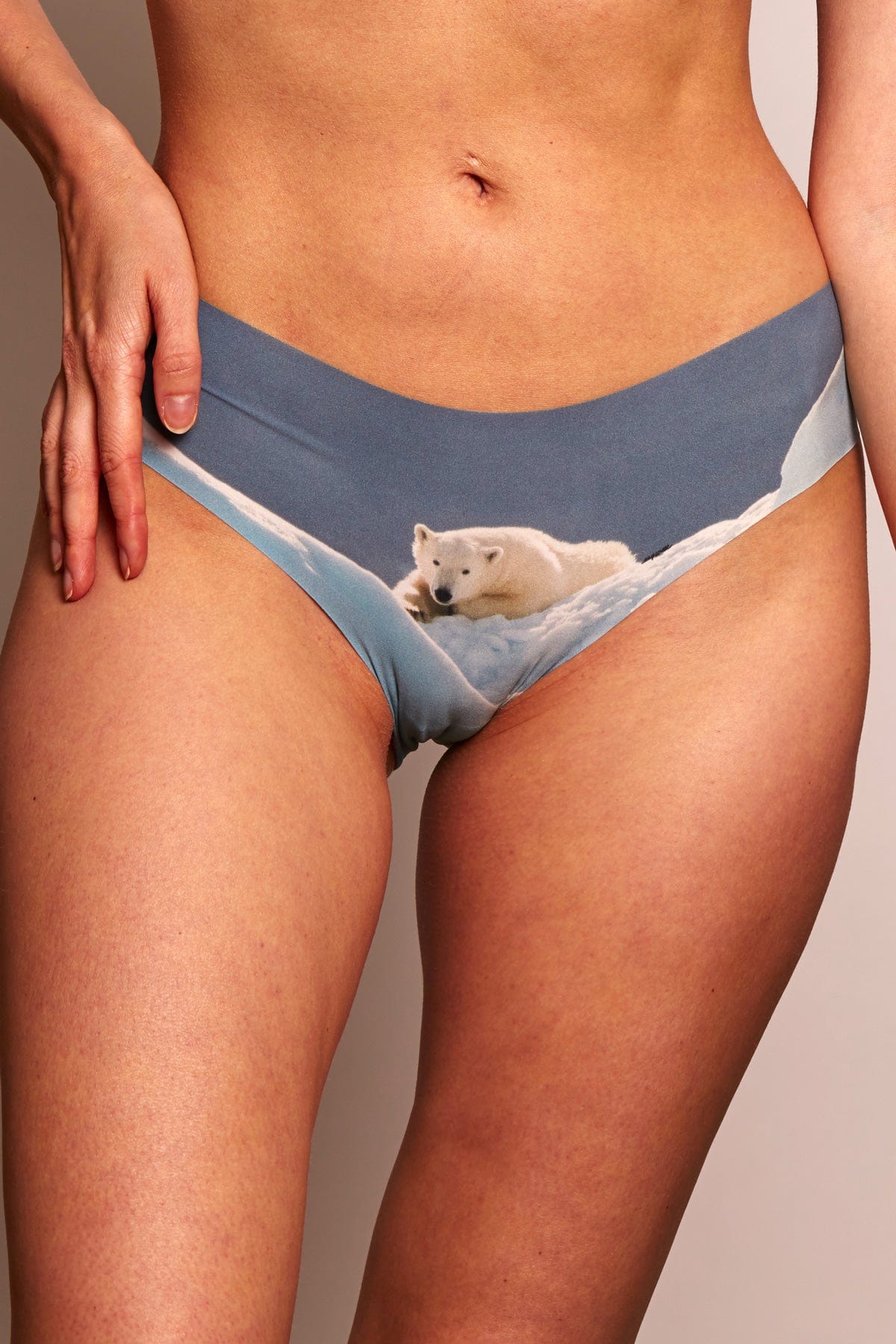 Esquisse lingerie Culotte Ours blanc